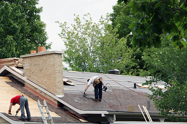 Best Roof Gutter Cleaning  in Pinconning, MI